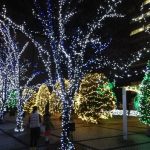 京セラ本社のクリスマスイルミネーション～本社入口～