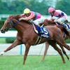 日本競馬で唯一グランドスラムを達成した馬「テイエムオペラオー」